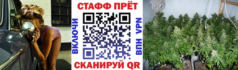 Где найти наркотики Тайга Канабис  МЕФ  ГАШ 