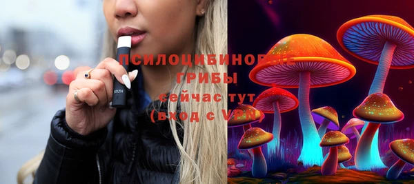 мяу мяу мука Арсеньев