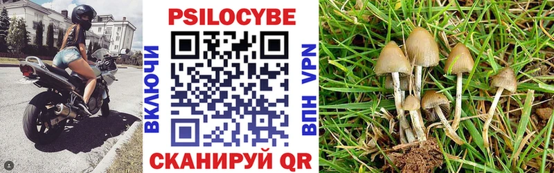 Псилоцибиновые грибы ЛСД Тайга